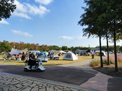 -上海浦江郊野公园-5号停车场