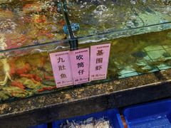 -新金盛·海鲜酒楼(盐田店)