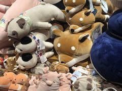 -天虹购物中心(石路店)