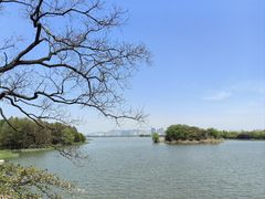 -长广溪湿地公园