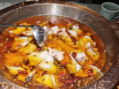 -雲蜀龙阁·金牌水煮鱼(方庄店)