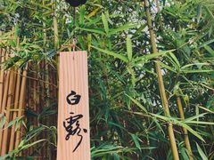 -天水蔬食料理(树德之光店)