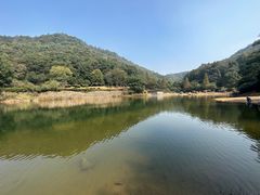 -桃花岭景区