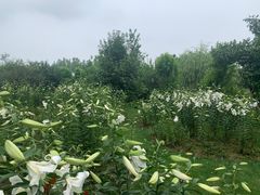 -南通洲际绿博园