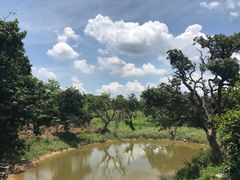 -鹤之洲湿地公园