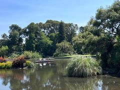 -墨尔本皇家植物园