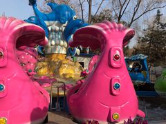 -朝阳公园游乐园