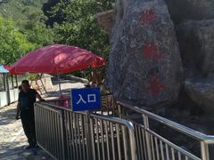 -大岭沟猕猴桃谷风景区