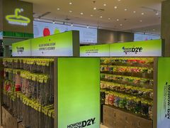 -HOWOW·D2Y(柏威年店)