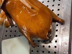 -全聚德烤鸭店(准噶尔路店)