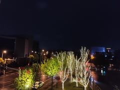 -纽扣NEWKO