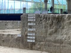 -金沙遗址博物馆