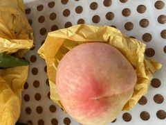 -南汇新场正宗水蜜桃采摘