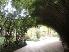 -晓靖轩烧烤(沙河风情店)