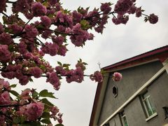 -龙湖星悦荟(颐和店)