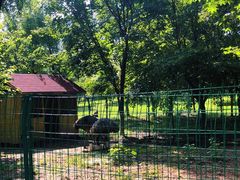 -长春世界雕塑园冰雪艺术天地