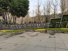 -重庆市江北嘴中央商务区中央公园