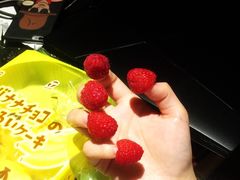 -上海雅居乐万豪侯爵酒店
