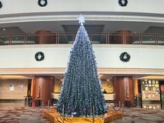 -元一希尔顿酒店·鲜切牛肉火锅禅自助餐厅