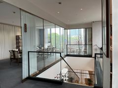 -绿雪芽白茶(浙大华家池校区凯旋路店)