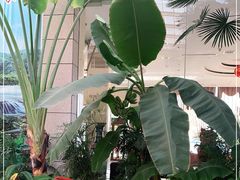 -兴芮温泉度假区