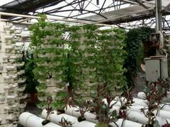 android_upload_pic-北戴河集发农业梦想王国