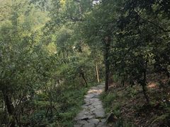 -青龙山国家森林公园