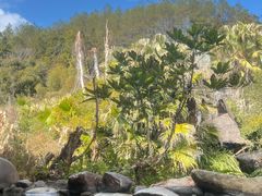 -天芳悦潭度假村温泉