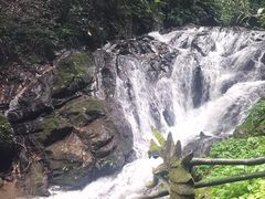 -莫里热带雨林景区