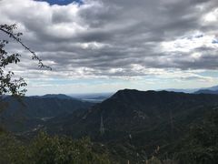 -大岭沟猕猴桃谷风景区