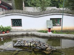 -红螺寺