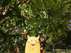 -青枫公园