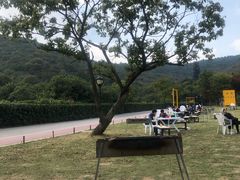 -龙寺生态园