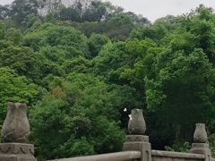 -乐山大佛风景名胜区乌尤寺南门-售票点