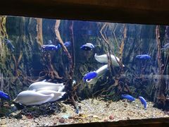 -华夏文旅海洋公园