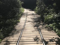 -五营红松林海景区