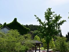-徐州龟山景区