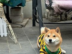 -后海16号·北京私房菜