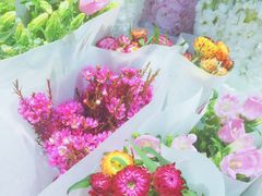 -溪岸路花鸟市场
