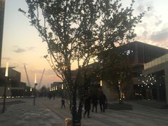 -映月湖中央公园