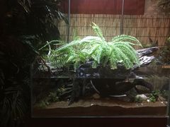 -Together·泰式按摩精油SPA(天山店)