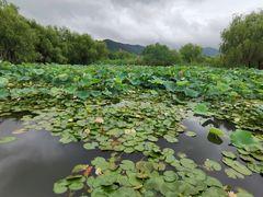 -长兴太湖图影湿地文化园