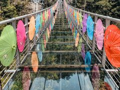 -九龙江国家森林公园