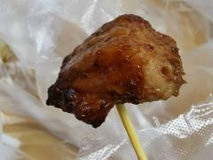 -王记西鎮电烤肉(汶上路店)