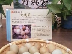 -黄金寨原生态旅游区