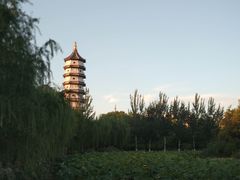 -静园(和平区)