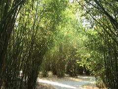 -木兰水镇旅游景区