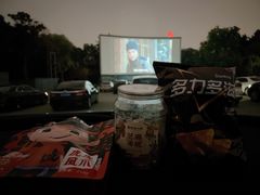 -枫花园汽车电影院(朝阳公园店)