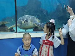 -苏州海洋馆