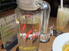 -廊亦舫Lang Yi Fang Restaurant(金桥店)